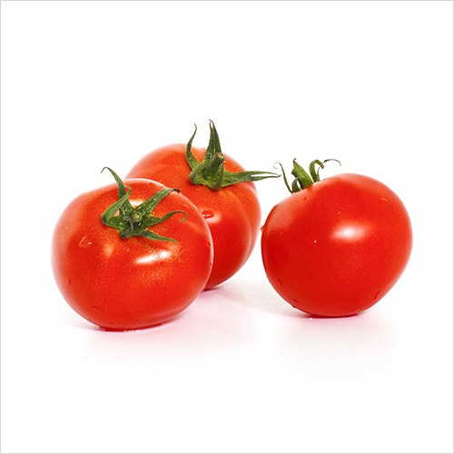 [Tomato] Jobongdae (longevity)